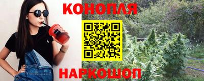 дживик Гай